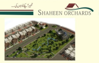 Shaheen Orchards Sheikhupura