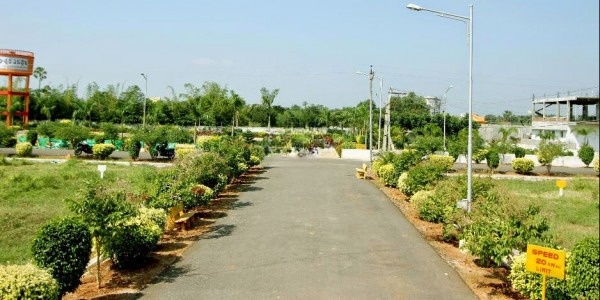 Amenities and Lifestyle (2)