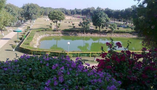 Comprehensive Facilities & Infrastructure