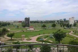 Development Overview