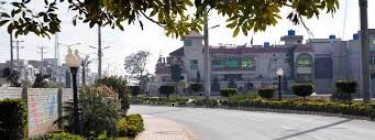 Development and Structure