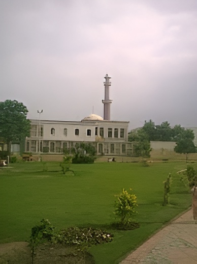 Features & Amenities