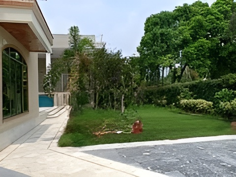 Lifestyle & Community