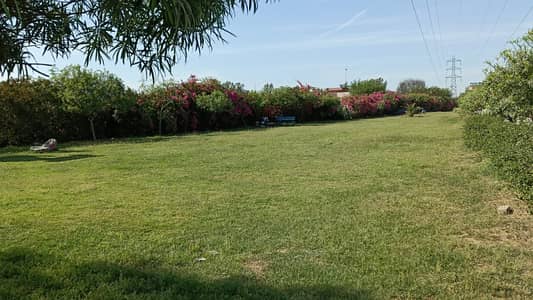 Plots in Kamran Block