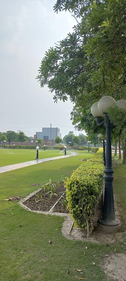 Project Highlights & Features