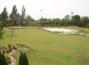 Spring Meadows Lahore 1