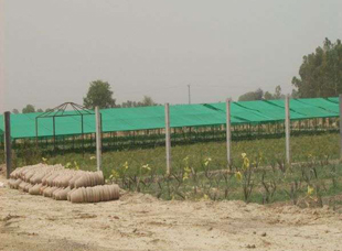 Spring Meadows Lahore 5